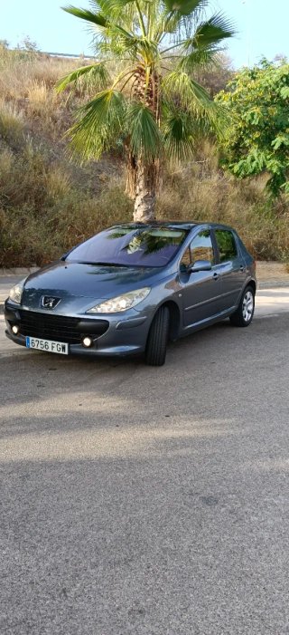 Peugeot 307 2006