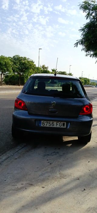 Peugeot 307 2006