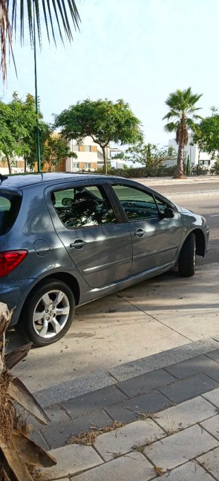 Peugeot 307 2006
