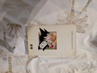 Comic bola de dragón tomo blanco gordo N°1
