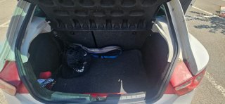 SEAT Ibiza 2009