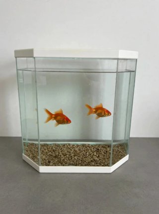 Acuario 30L