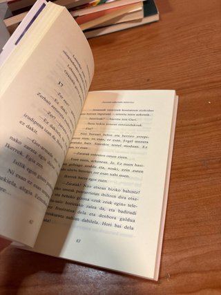 Dorretxe zaharreko misterioa