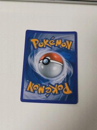 Carta Pokémon Rillaboom VMAX 023/264
