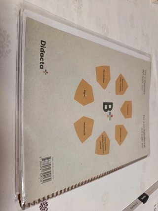 Llengua Catalana i Literatura 1