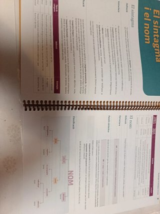 Llengua Catalana i Literatura 1