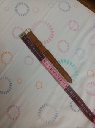 Lote de 4 correas para reloj