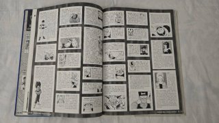 Dragon Ball. Dossier definitivo.