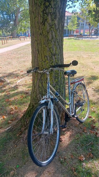 Bicicleta de paseo toda de aluminio Arcade