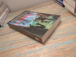 El pozo de las tinieblas Reinos Olvidados nº1