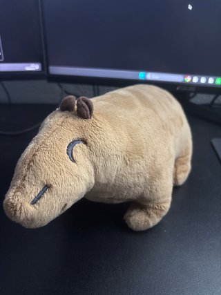 Peluche Capibara Suave