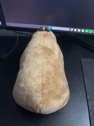 Peluche Capibara Suave