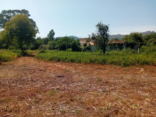 Terreno 5930 m2 en Marcosende Vigo