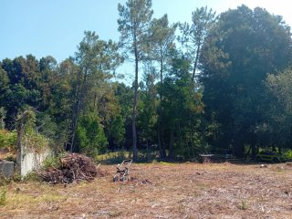 Terreno 5930 m2 en Marcosende Vigo