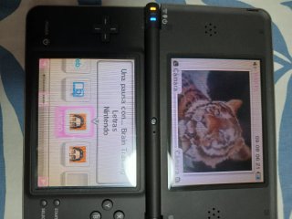 Nintendo DSi XL Chocolate