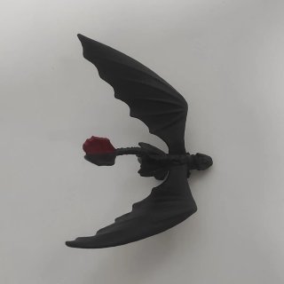 Toothless Wings Out How to train your dragon 2