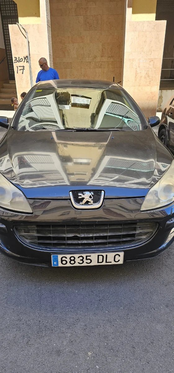 Peugeot 407 2005 - foto 1