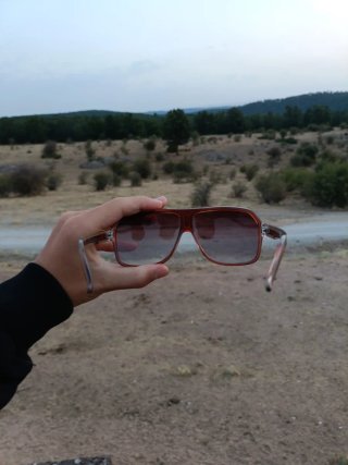 Gafas de sol Carrera Marrones