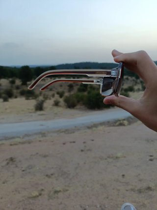 Gafas de sol Carrera Marrones
