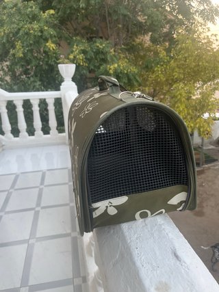 Transportín tela perro pequeño flores