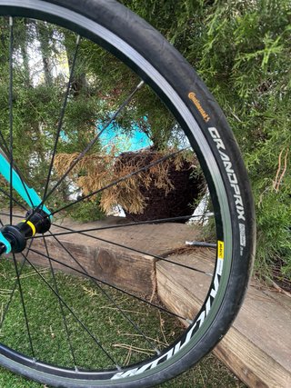 Bianchi Intenso Carbon