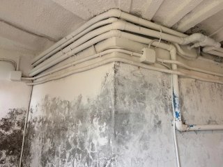 trabajo de renovación y pintura enla casamásbarato