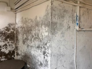 trabajo de renovación y pintura enla casamásbarato
