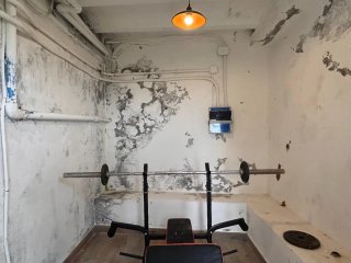 trabajo de renovación y pintura enla casamásbarato