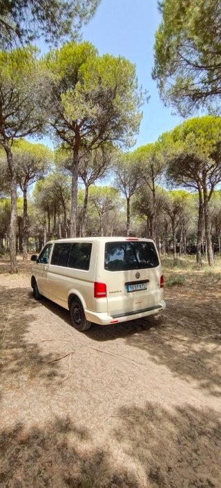 Volkswagen Caravelle 2010