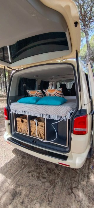 Volkswagen Caravelle 2010