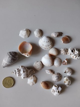 Materiale per hobbistica creativo