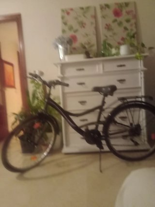 Bicicleta de paseo
