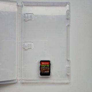 Minecraft Nintendo Switch