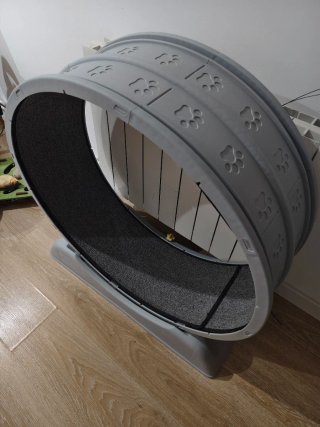 Rueda para gatos de interior.