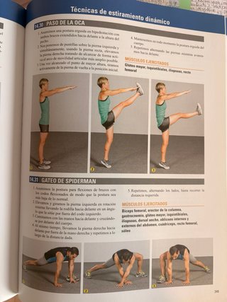 Principios del entrenamiento de la fuerza y del...