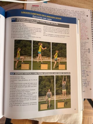 Principios del entrenamiento de la fuerza y del...