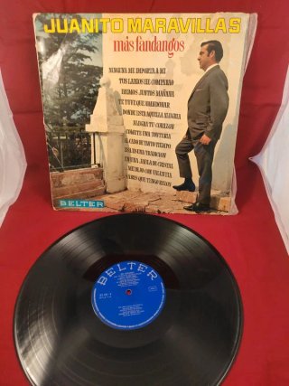 Lote 13 vinilos de Flamenco