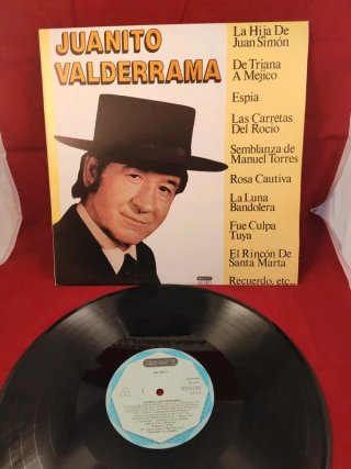 Lote 13 vinilos de Flamenco