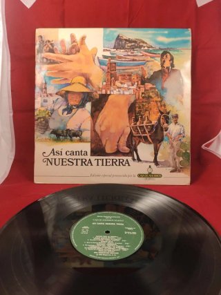 Lote 13 vinilos de Flamenco