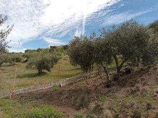 Casa rural en venta en Herencias (Las)