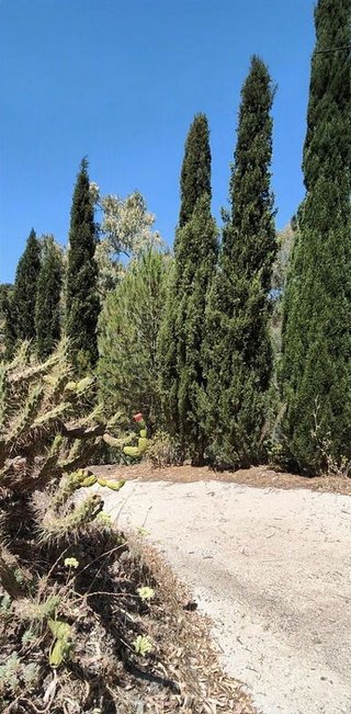 Casa rural en venta en Comares