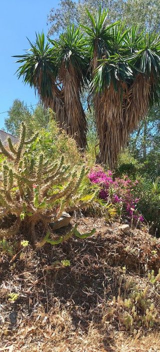 Casa rural en venta en Comares