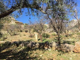 Chalet en venta en Alcaucín