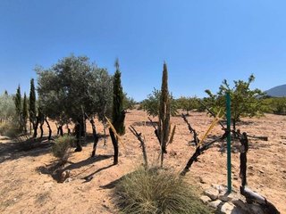 Casa rural en venta en El Rabal en Villena