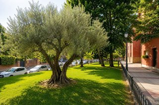 Piso en venta en Campodón - Ventorro del Cano en Alcorcón