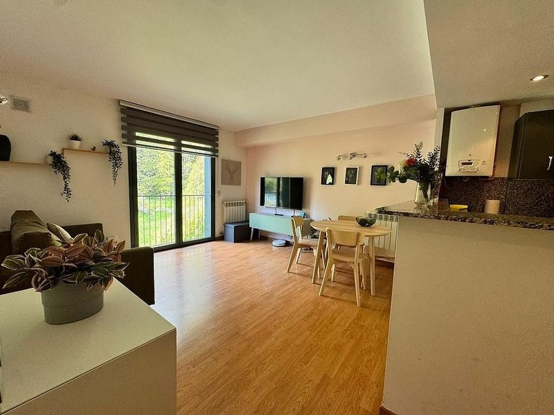 Pis de 1 habitacions en venda a Ransol, Canillo · 53 de 60