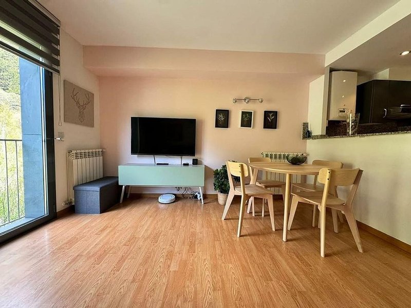 Pis de 1 habitacions en venda a Ransol, Canillo · 54 de 60