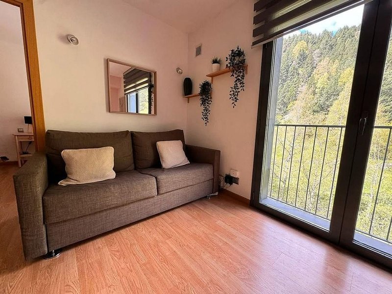 Pis de 1 habitacions en venda a Ransol, Canillo · 55 de 60