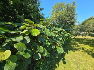 Casa pareada en venta en Posada-Barro en Llanes