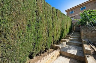 Chalet en venta en Padul